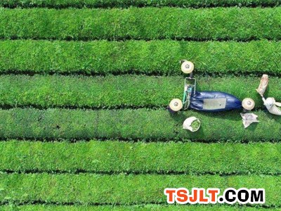 陆尧：逐步推动茶叶机械化生产（图）