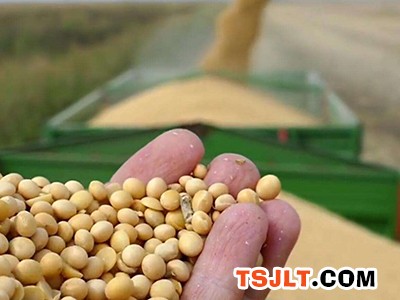 世界大豆生产和贸易演变（图）